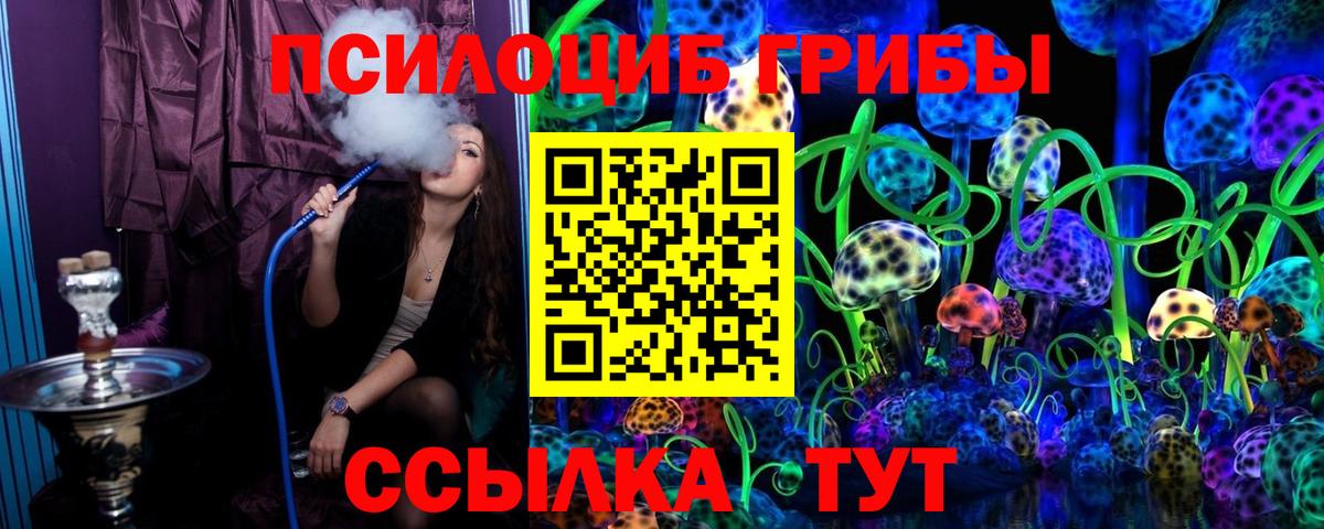 Кирово-Чепецк  что такое   Вход с VPN  Галлюциногенные грибы Psilocybine cubensis 